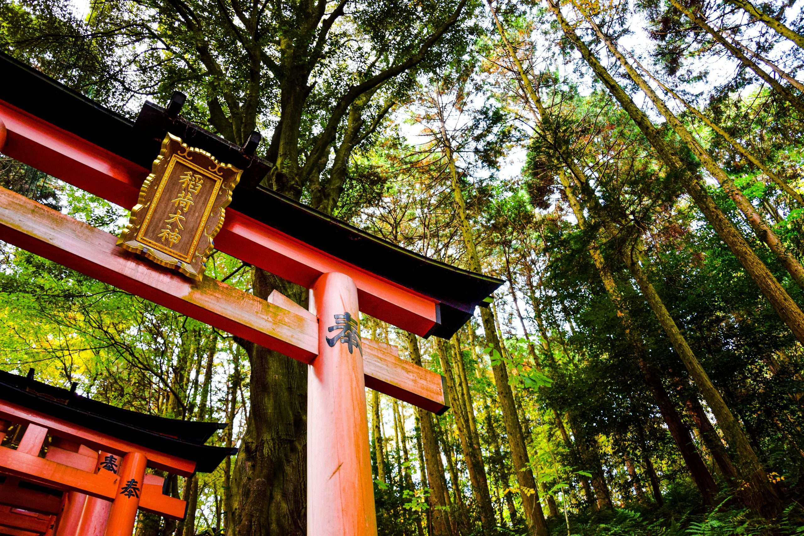Red Pagoda of a Temple in Kyoto