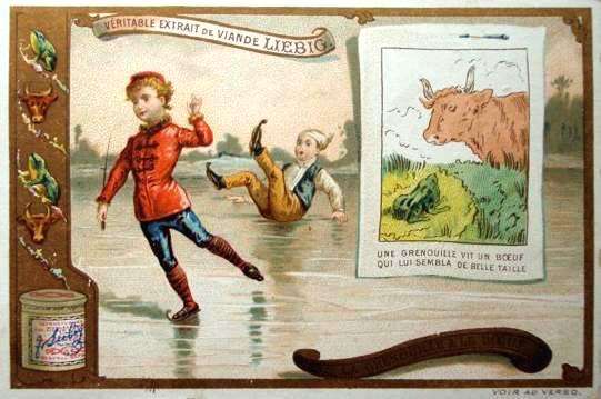 The Frog Who Desired a King