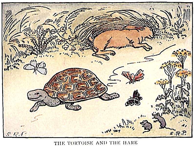 The Tortoise and the Hare