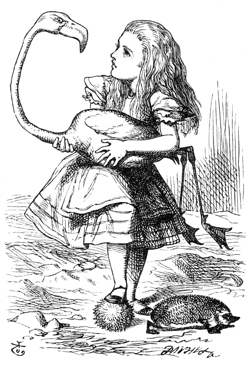 Alice trying to play croquet with a Flamingo